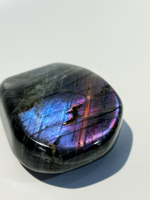 Срез Лабрадора M