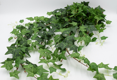 Куст плющ ампельный 105см. Артикул: 1614726