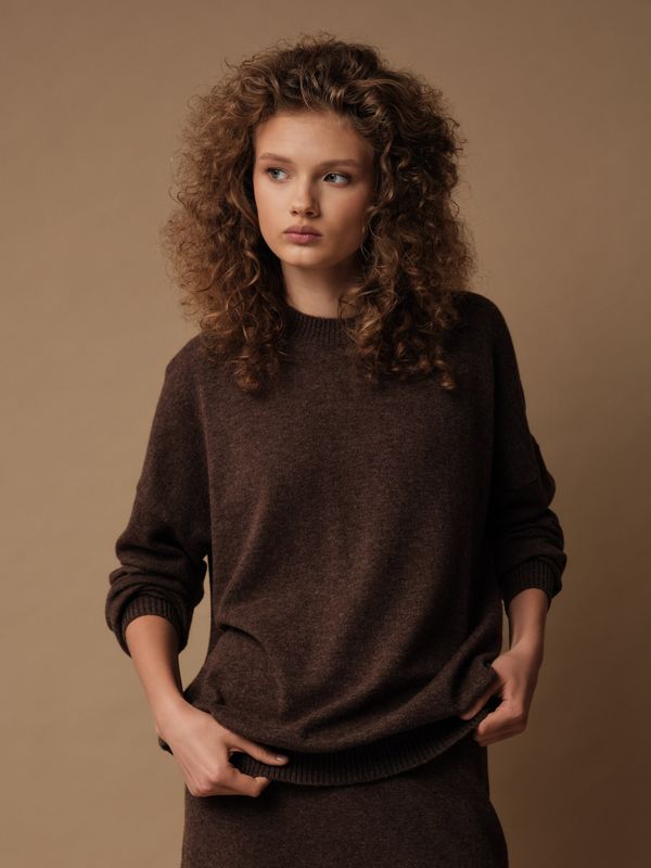 J0258-8100 Джемпер женский, шоколадный dbr