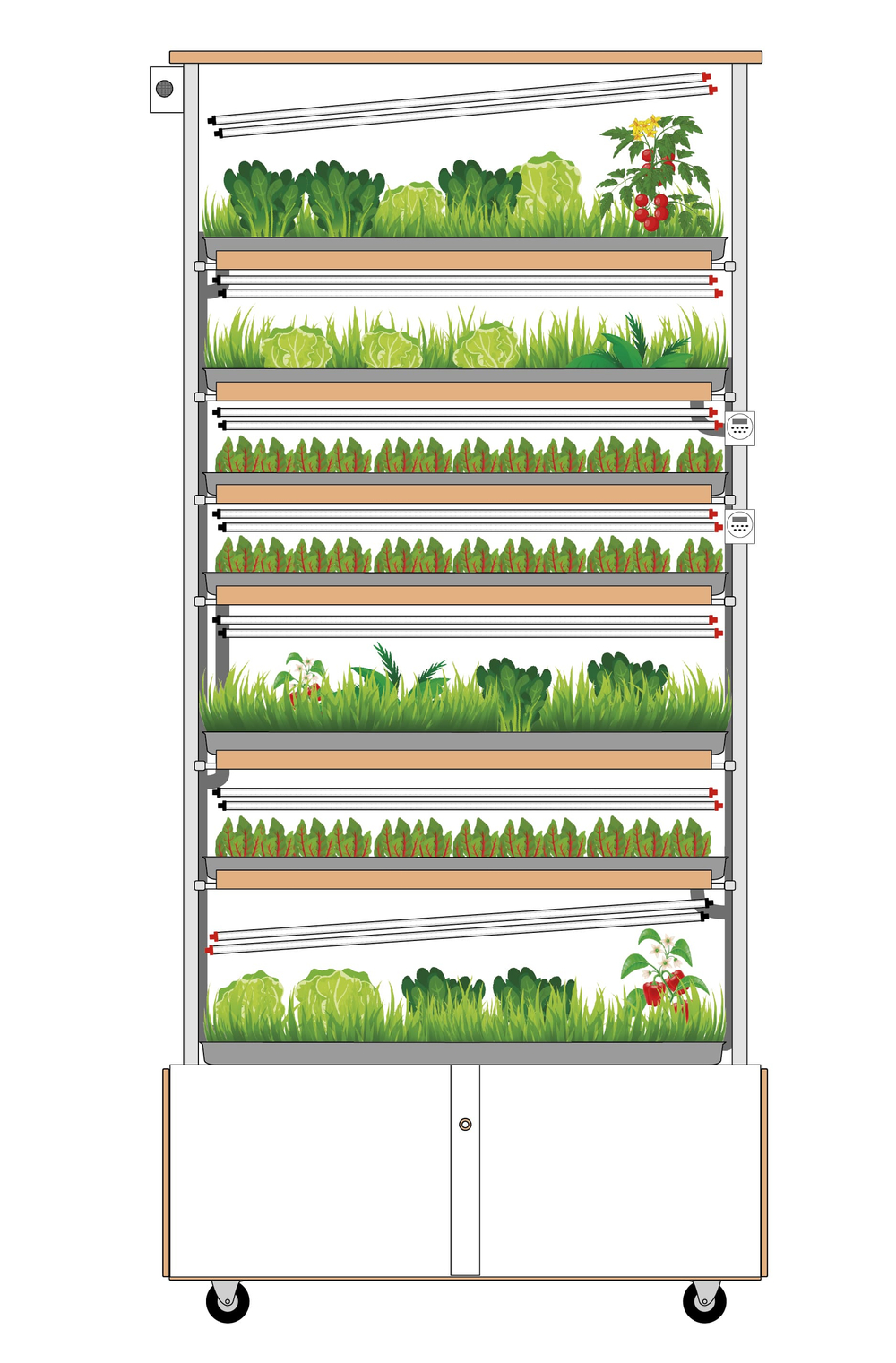 КЛО «Типы почв и рост растений 2.0» с принадлежностями