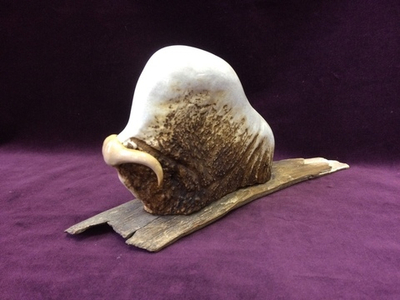 Скульптурная композиция "Овцебык", рог лося, бивень мамонта