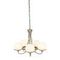 Подвесная люстра Arte Lamp Bergamo A2990LM-5AB
