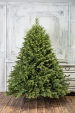 Ель искусственная «Эрмитажная» (Литая хвоя) от 1,5 м до 3 м