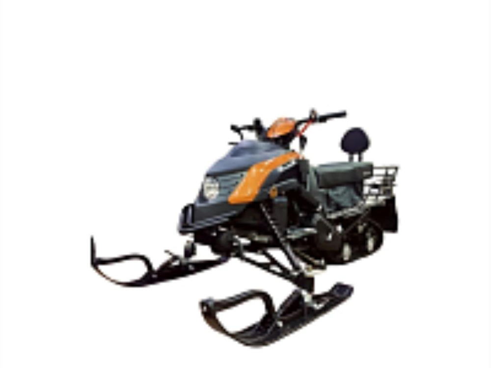 Снегоход MOTOLAND 210 NEW Forest S200