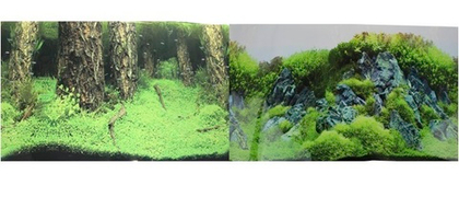 Prime Фон для аквариума двухсторонний Затопленный лес/Камни с растениями, 50х100 см