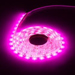 Светодиодная лента для растений ЭРА FITO-Strip Light-RB-2m красно-синего спектра, 2 м, IP65 с адаптером 12V в комплекте | Светодиодные ленты для растений