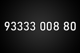 9333300880