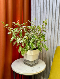 Гибискус Снежная Королева на фитиле, D17см Н40см, 1шт, Urban Jungle (7143)