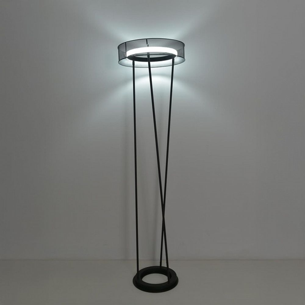 Торшер Lumion LEDIO 8370/30FL