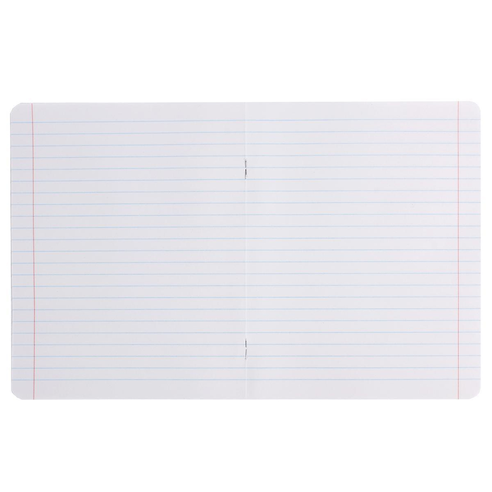 Комплект тетрадей А5 12л. линия 10шт микс (Проф-Пресс)