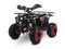 Квадроцикл GLADIATOR H125 LUX черный