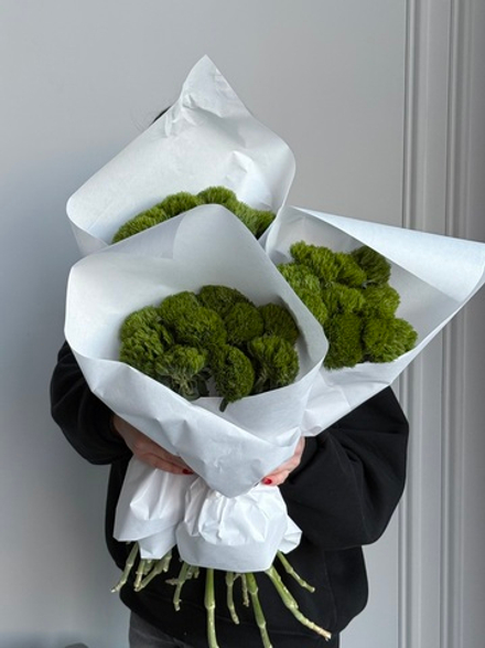 Охапка диантусов в зеленом оттенке сорта Грин трик 10 шт