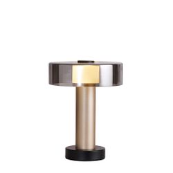 8535 Настольная лампа GIN