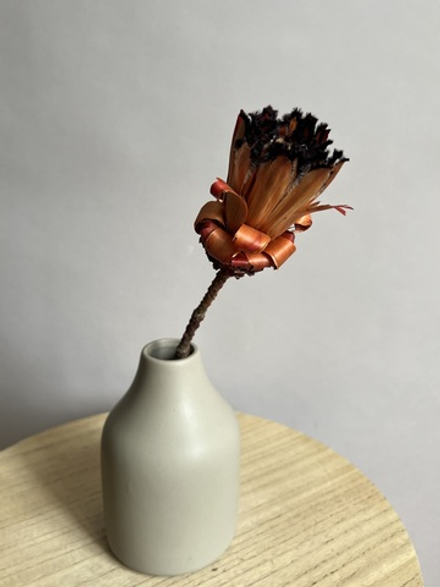 Протея бордовая