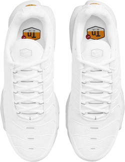 Кроссовки женские NIKE Nike Air Max Plus