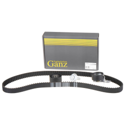Ремкомплект ГРМ FIAT/FORD/MAZDA/PSA/VOLVO mot.1,6TDI GANZ GIE37646