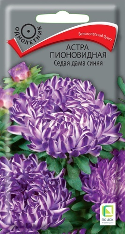 Астра пионовидн. Седая дама синяя 0,3гр Поиск