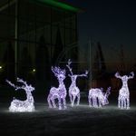 световые олени "Экипаж"