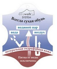 Сапоги «Пойнтер» облегченные на молнии (камбрель), ХСН