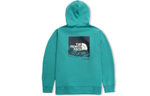Худи THE NORTH FACE SS22 Logo, NF0A5JZL-ZCV