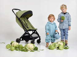 Детская прогулочная коляска Anex Air-X2 Vert