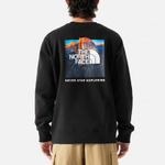 Толстовки THE NORTH FACE, NF0A86Q5-JK3