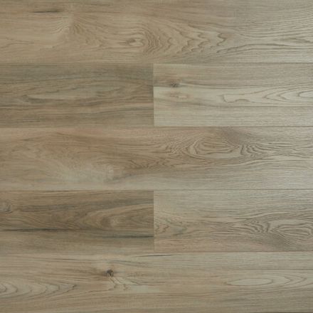 Shelty Дуб Чин, 2,2 м²