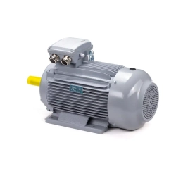 Электродвигатель ESQ PR 160 M6 GST-Б1-S12-IE2 15/1000 IM2001