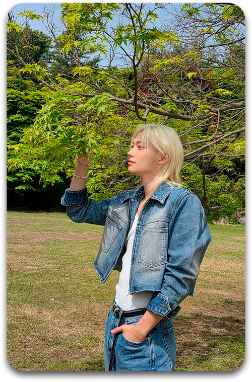 Карта / STRAY KIDS #3775