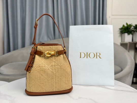 Christian Dior Medium C'est Dior Bag 24 cm