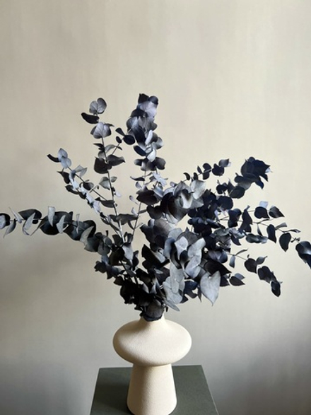 Эвкалипт Стуартиана стабилизированный сливовый