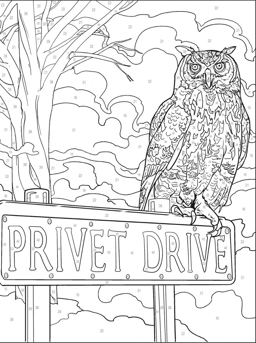 Hachette раскраска по номерам Coloriages mystères -Книга «Гарри Поттер в цифрах: цвета и изображения»