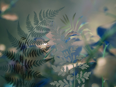 Дизайнерские обои Wall Street GreenDay-22