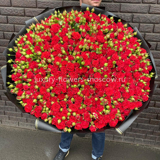 201 красная кустовая роза