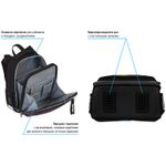 Ранец Berlingo Expert Victory taste RU07122 37х28х16см, 2 отд., с анатомической спинкой