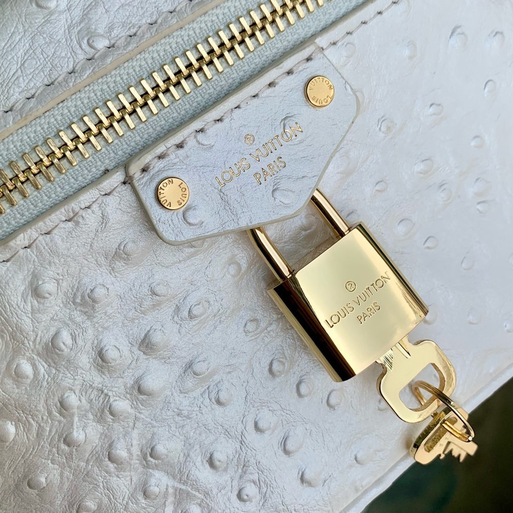 Louis Vuitton Vanity Chain Pouch