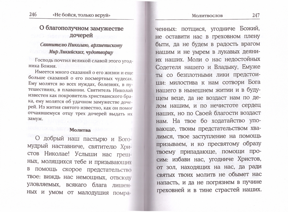 Не бойся, только веруй! Как молиться за детей, с наставлениями и  советами для родителей