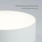 Потолочный светодиодный светильник Feron Simple matte AL200 48074