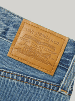 Женские свободные рваные джинсы Levi's Baggy Dad A3494-0048