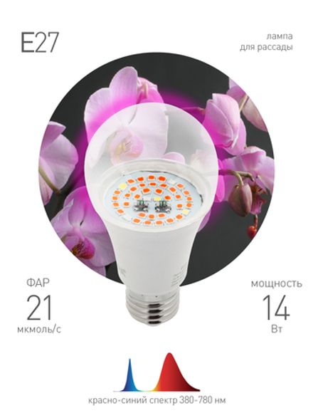 FITO Лампы тип цоколя E27  ЭРА Лампа красно-синего спектра FITO-14W-RB-E27