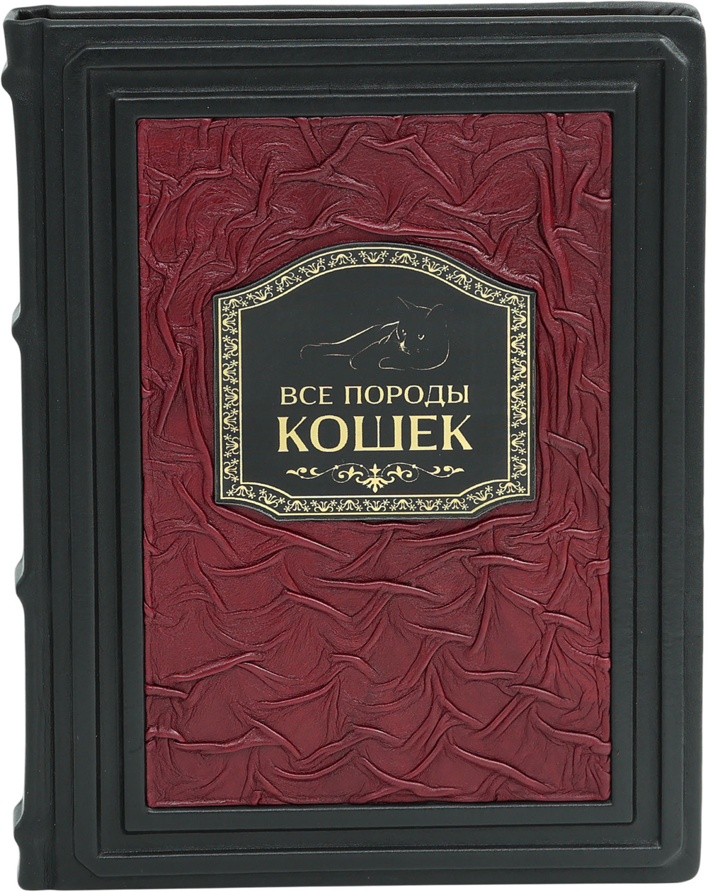 Все породы кошек