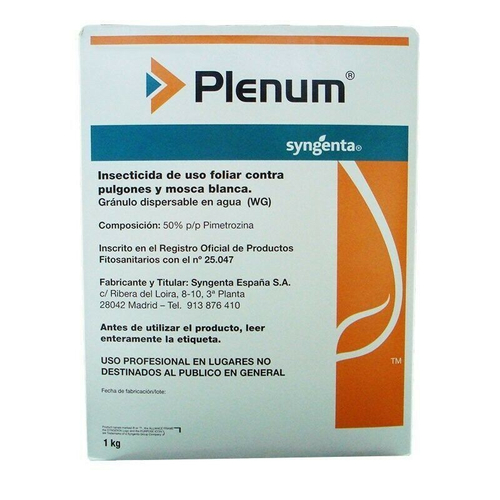 Пленум (6 гр)