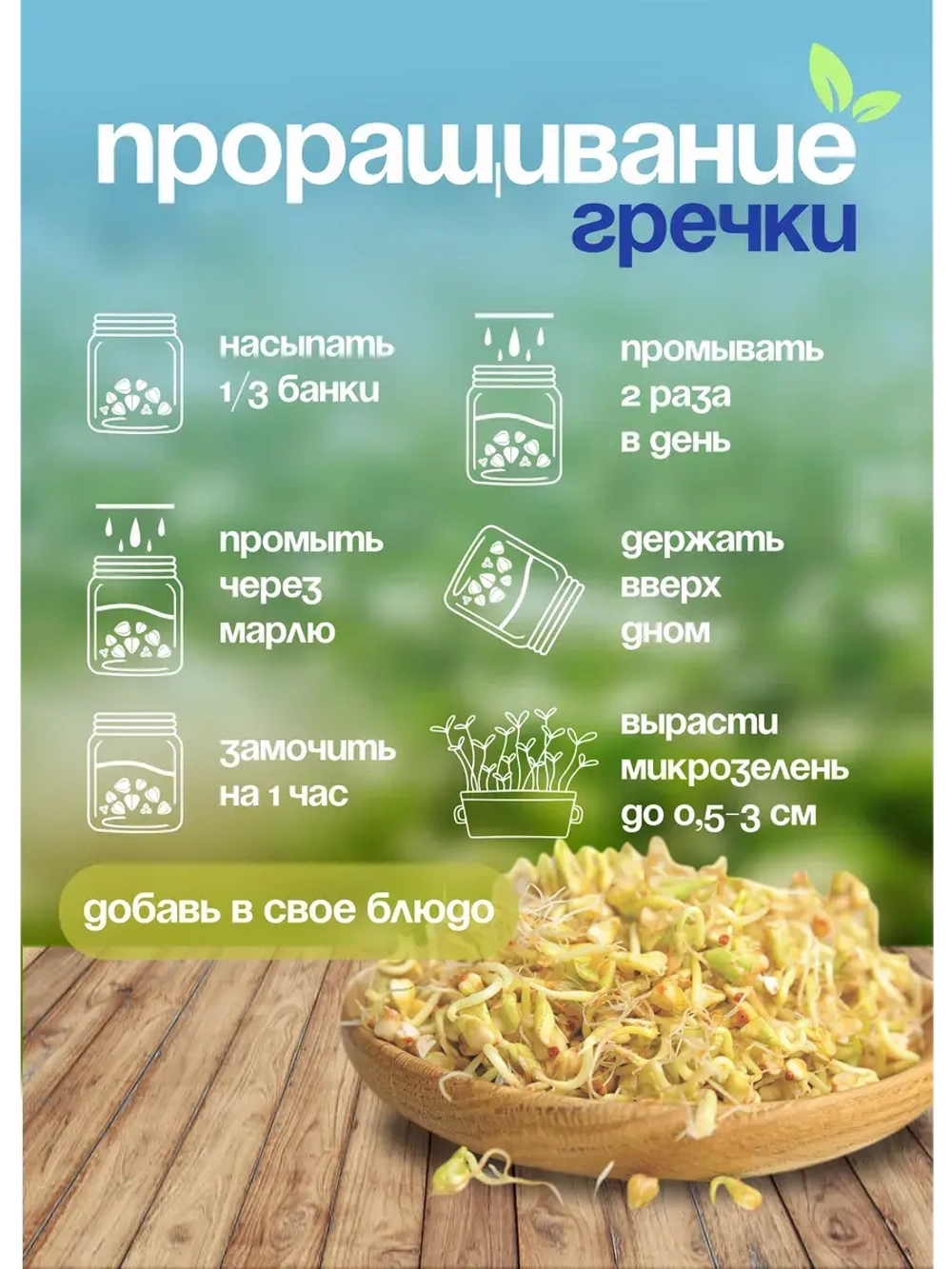 Гречка зеленая непропаренная органическая 5 кг