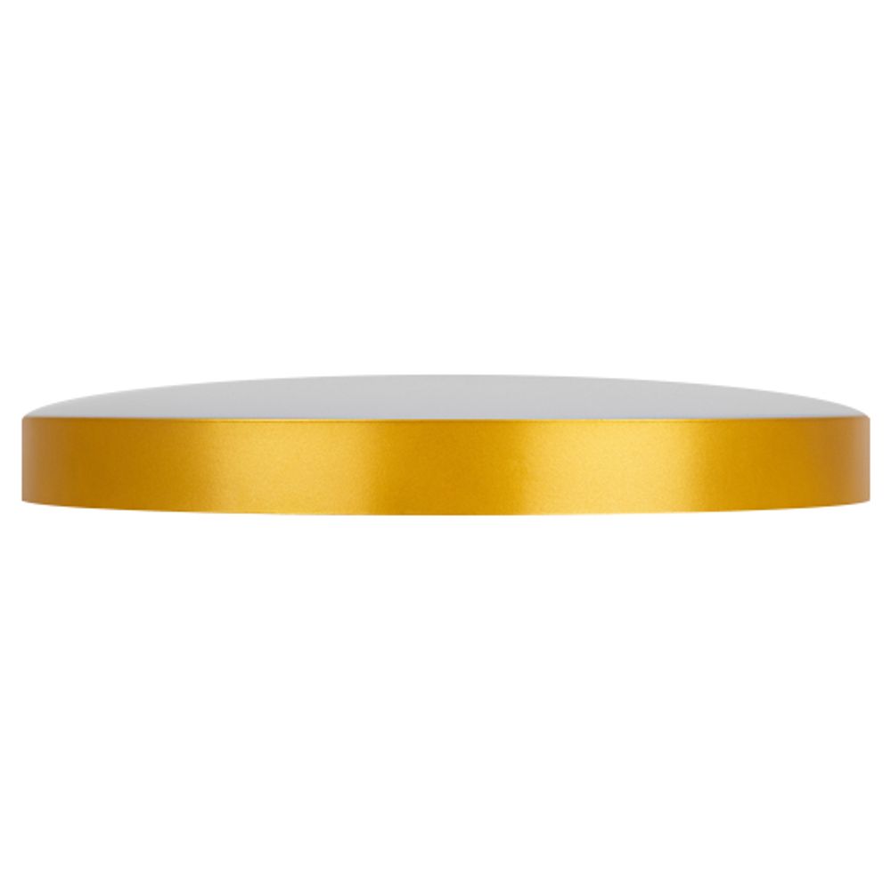 Светильник потолочный светодиодный ЭРА Классик с ДУ Relict 48 Pult SPB-6-60-RC MG 60Вт 3000-6500К Золото