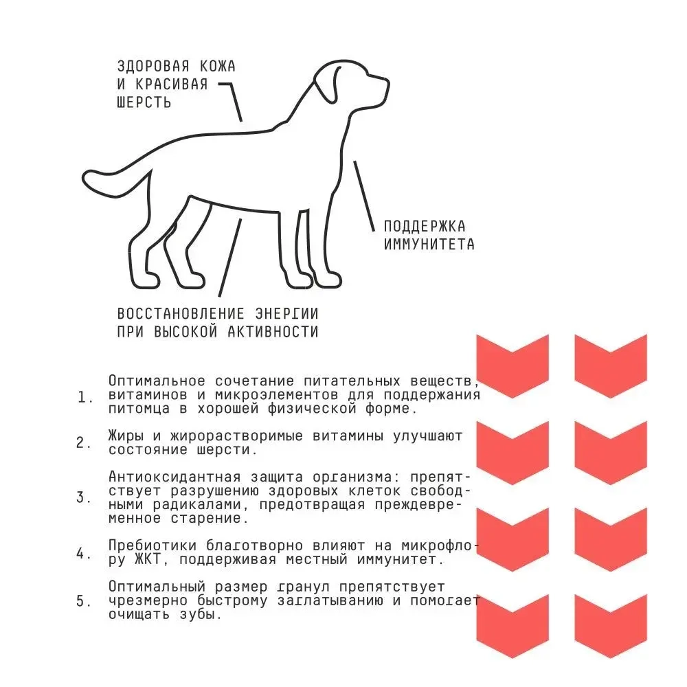 AJO (Айо) Dog Medium Adult Сухой полнорационный корм с гречкой для взрослых собак средних пород