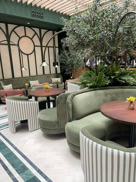 Озеленение ресторанов и кафе в Новосибирске: как растения меняют восприятие пространства (и почему это почти всегда делают неправильно)