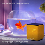 Умная колонка ЯНДЕКС Станция Миди 24Вт, с Алисой, оранжевый [yndx-00054org]
