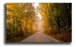 Постер "Лесной путь"