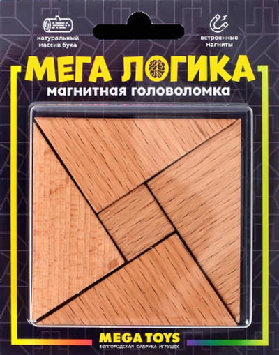 Магнитная головоломка по системе раннего развития Никитина 15952 (Лидер)