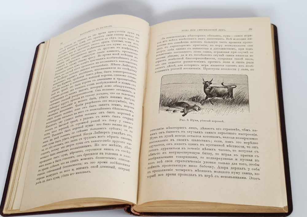 "Натуралист в Ла-Плате"  У.Г.Хадсон  1896 г. - антикварное издание